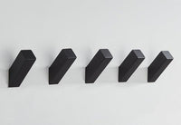 Stainless Steel Black Hooks