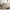 Dream Natural Duvet & Comforter Set