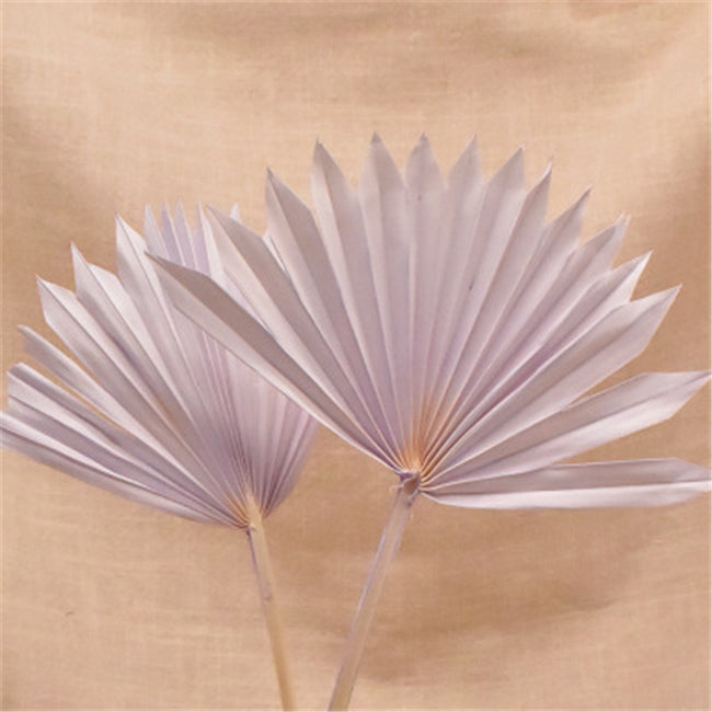 Colored Dried Palm Fans